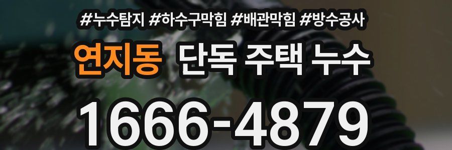연지동 단독 주택 누수