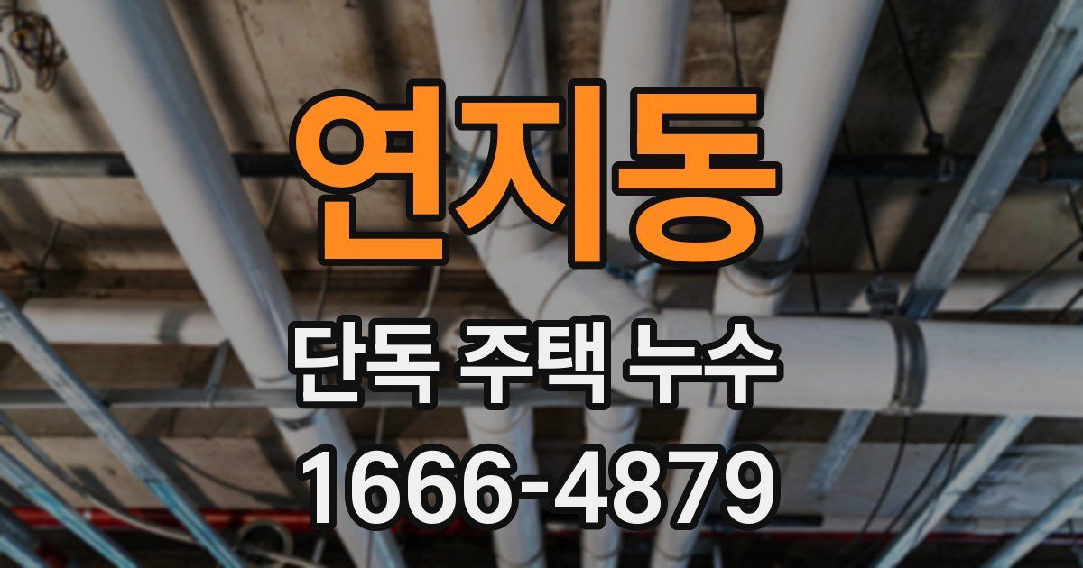 연지동 단독 주택 누수