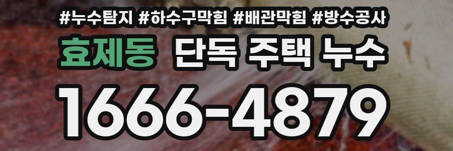 효제동 단독 주택 누수