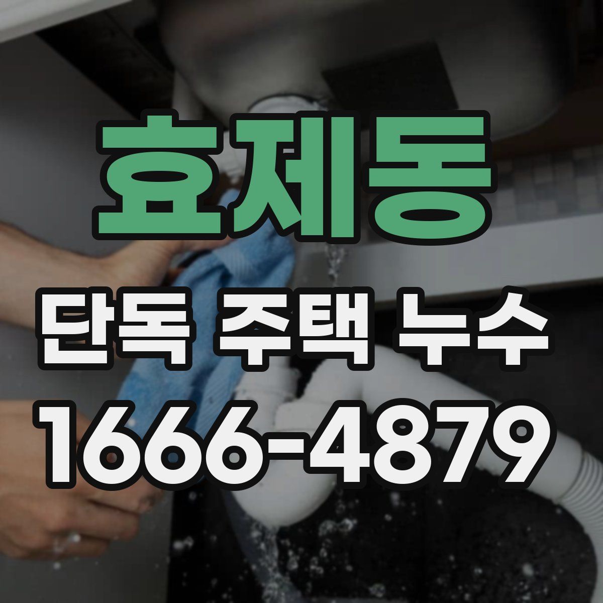 효제동 단독 주택 누수