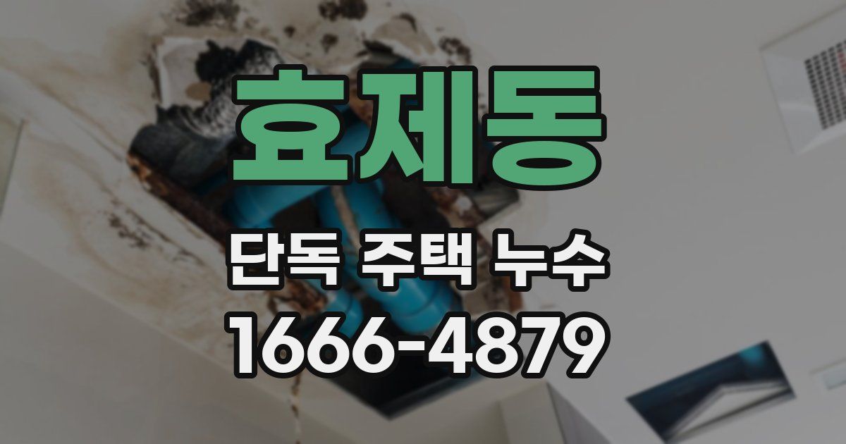 효제동 단독 주택 누수