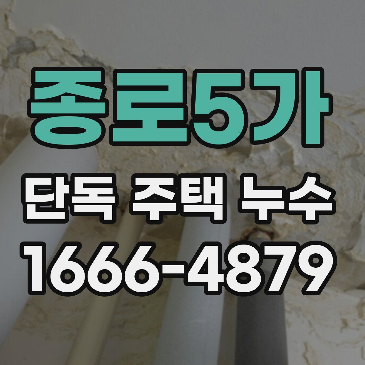 종로5가 단독 주택 누수