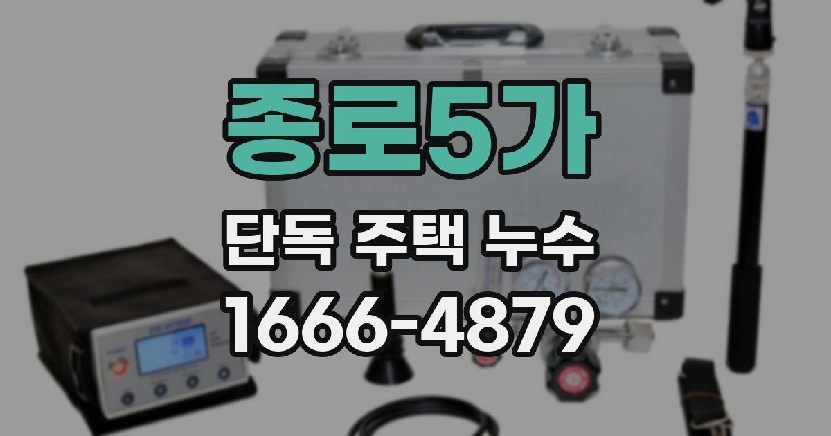 종로5가 단독 주택 누수
