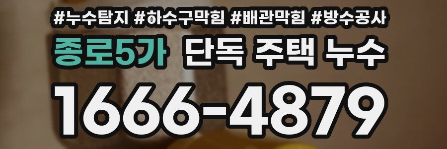 종로5가 단독 주택 누수