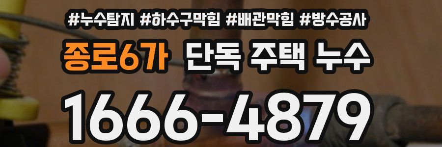종로6가 단독 주택 누수