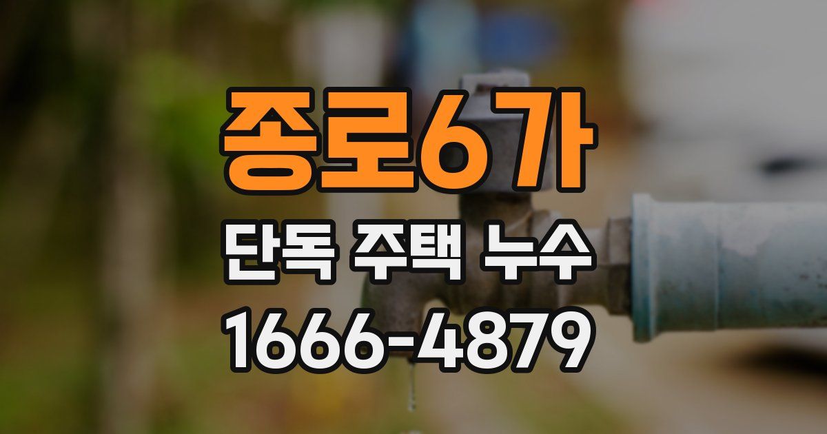 종로6가 단독 주택 누수