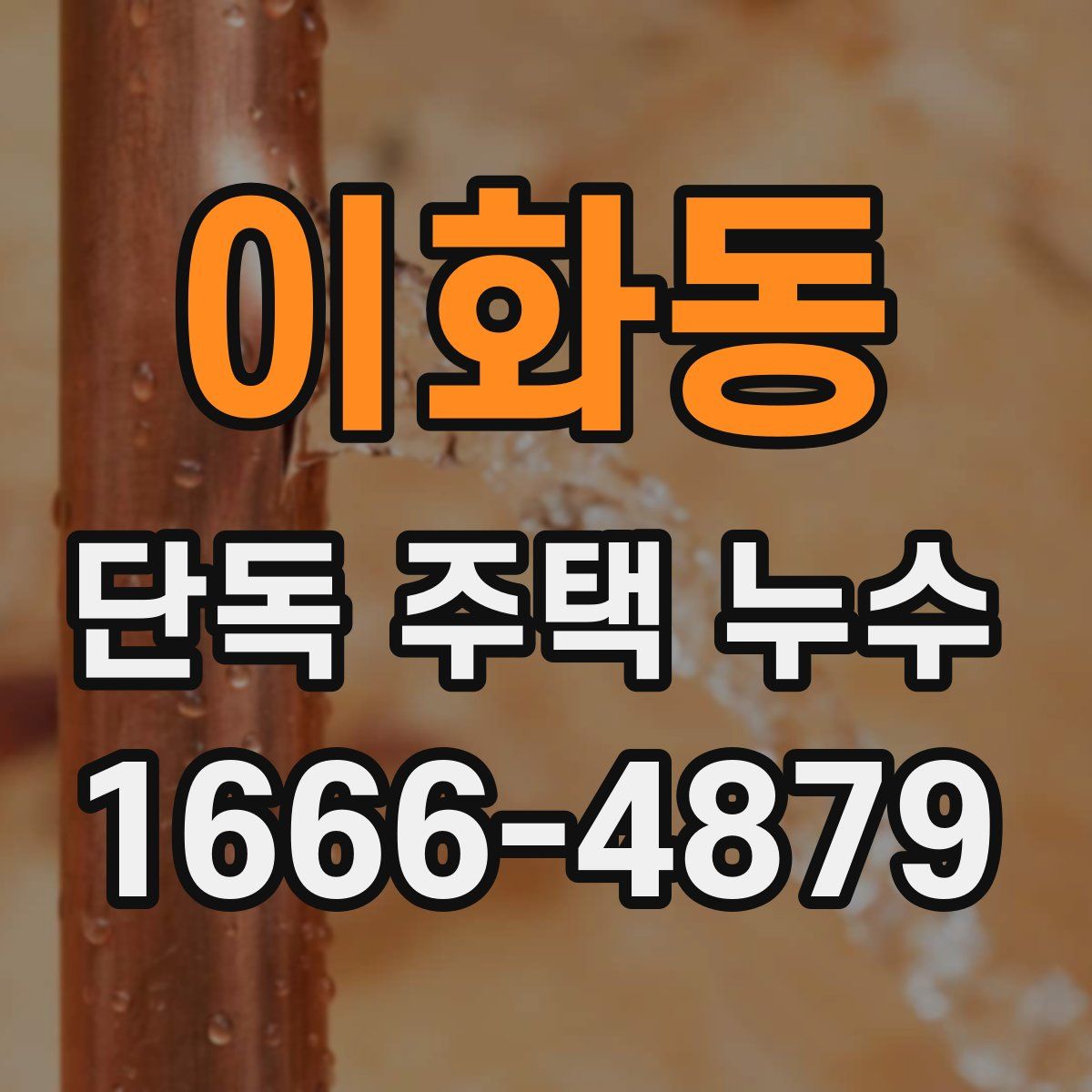 이화동 단독 주택 누수