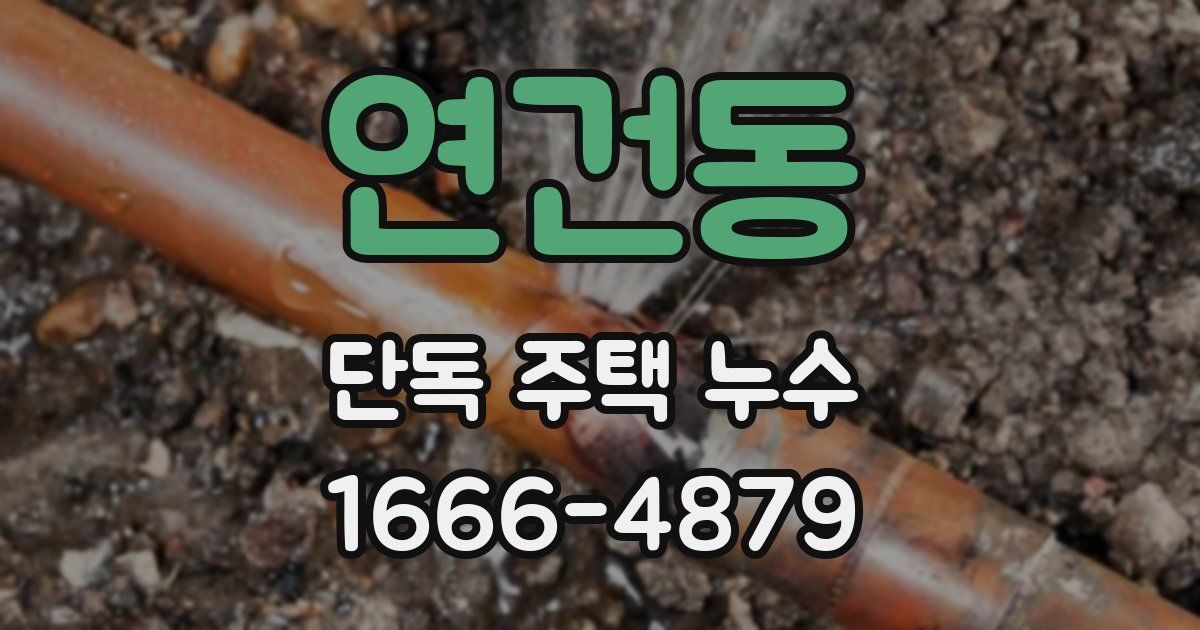 연건동 단독 주택 누수