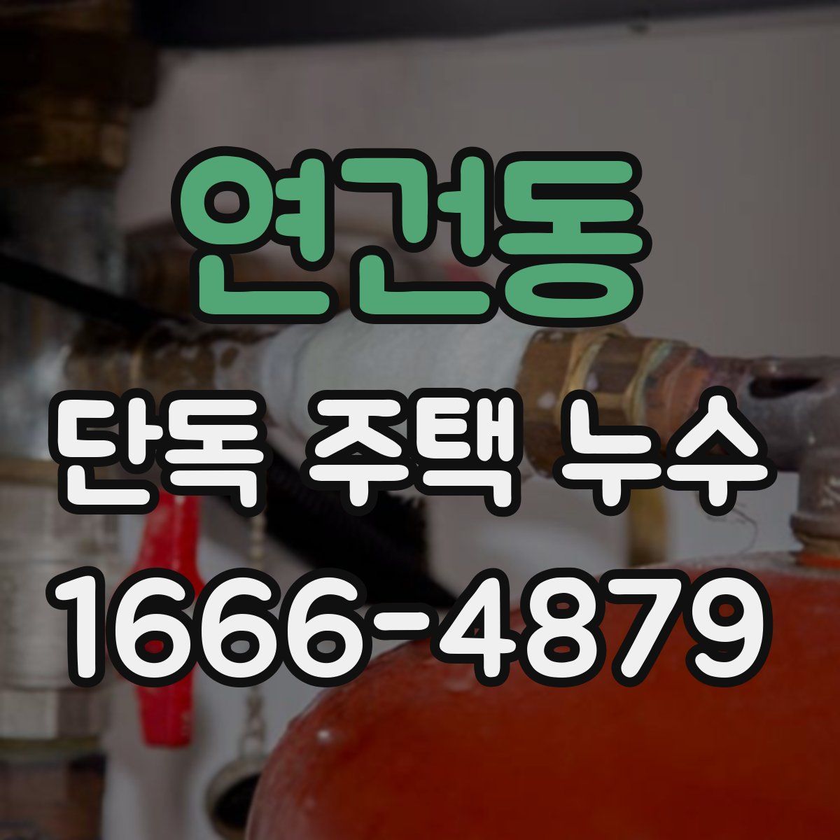 연건동 단독 주택 누수