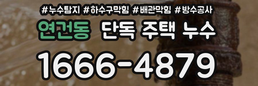 연건동 단독 주택 누수