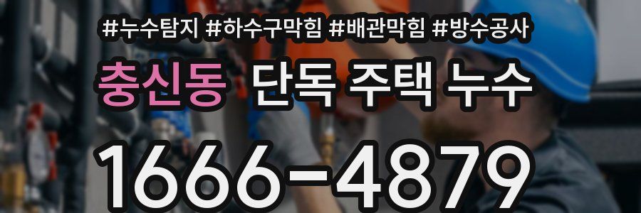 충신동 단독 주택 누수