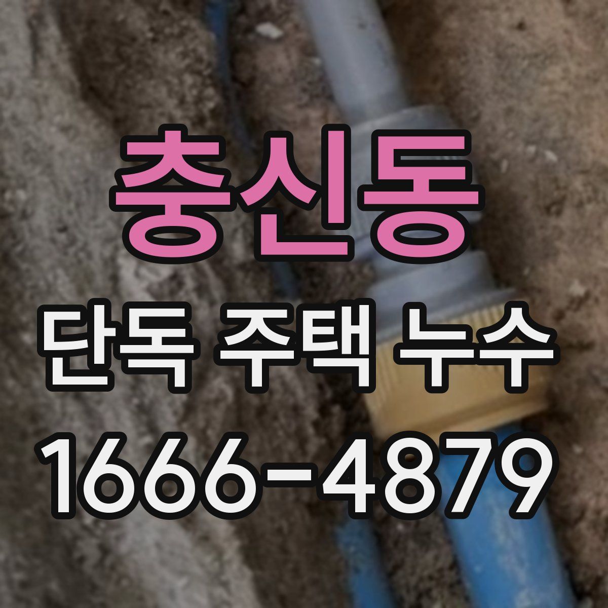 충신동 단독 주택 누수