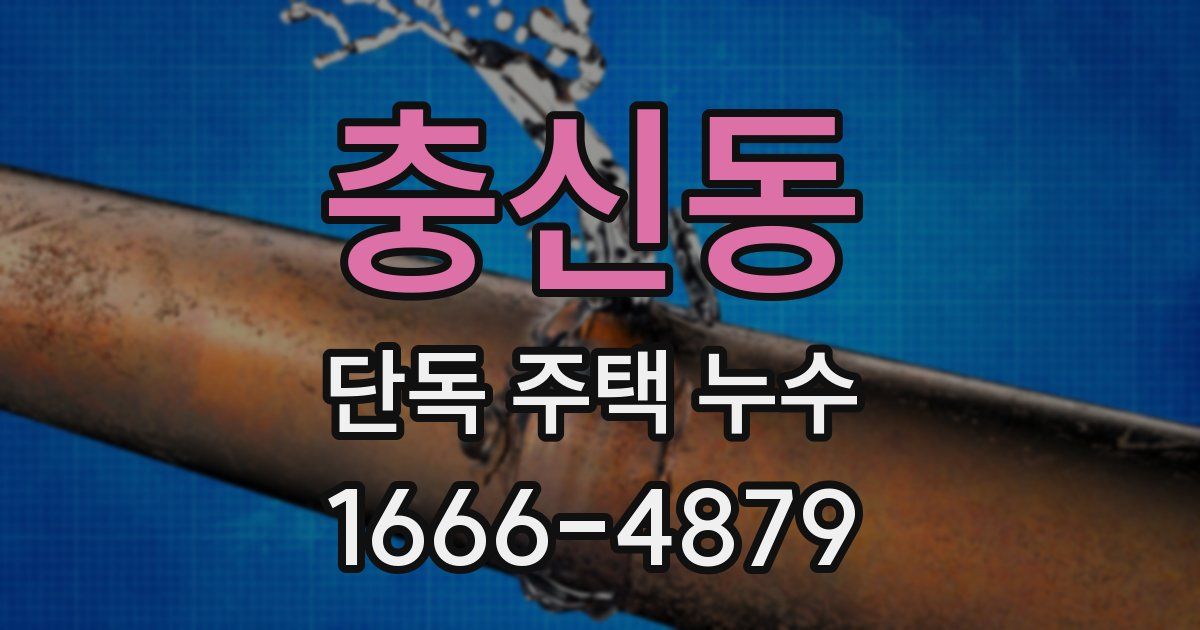 충신동 단독 주택 누수