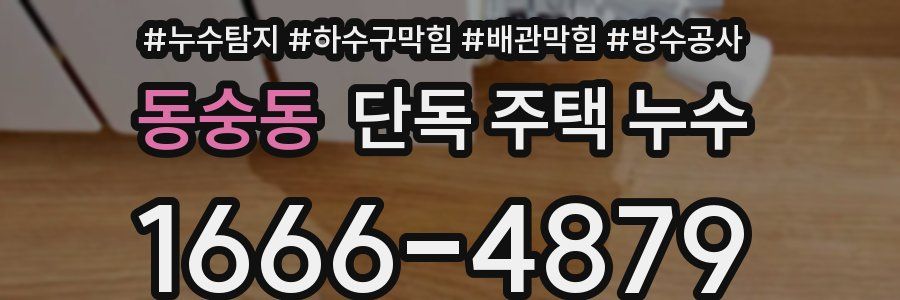 동숭동 단독 주택 누수