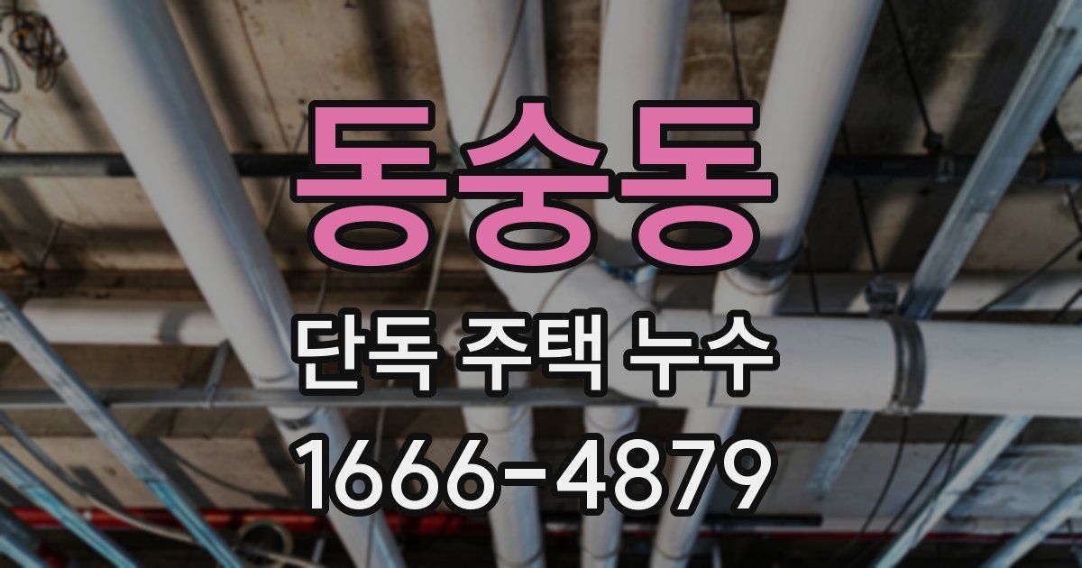 동숭동 단독 주택 누수