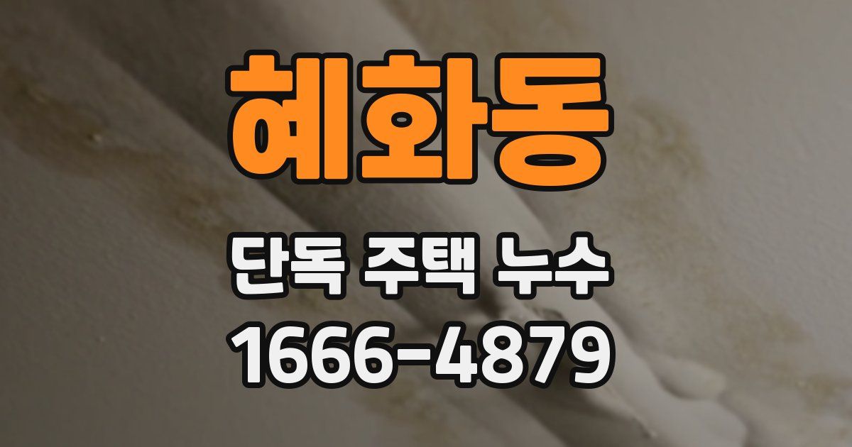 혜화동 단독 주택 누수