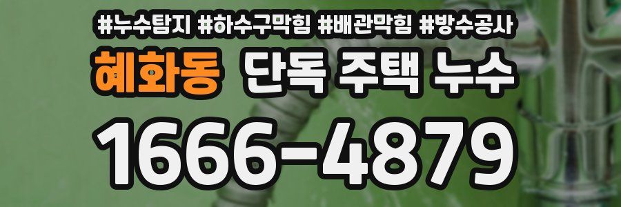 혜화동 단독 주택 누수