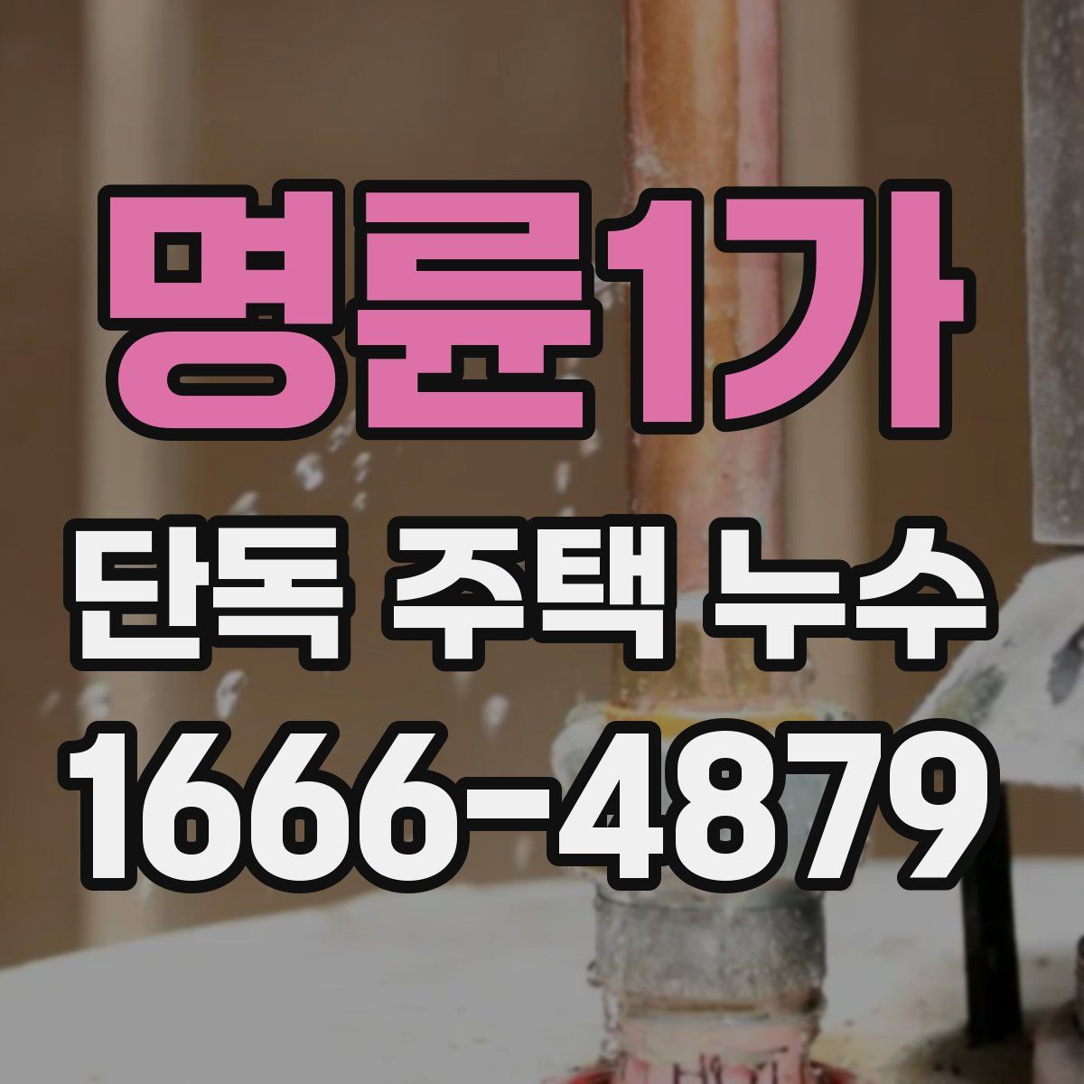 명륜1가 단독 주택 누수