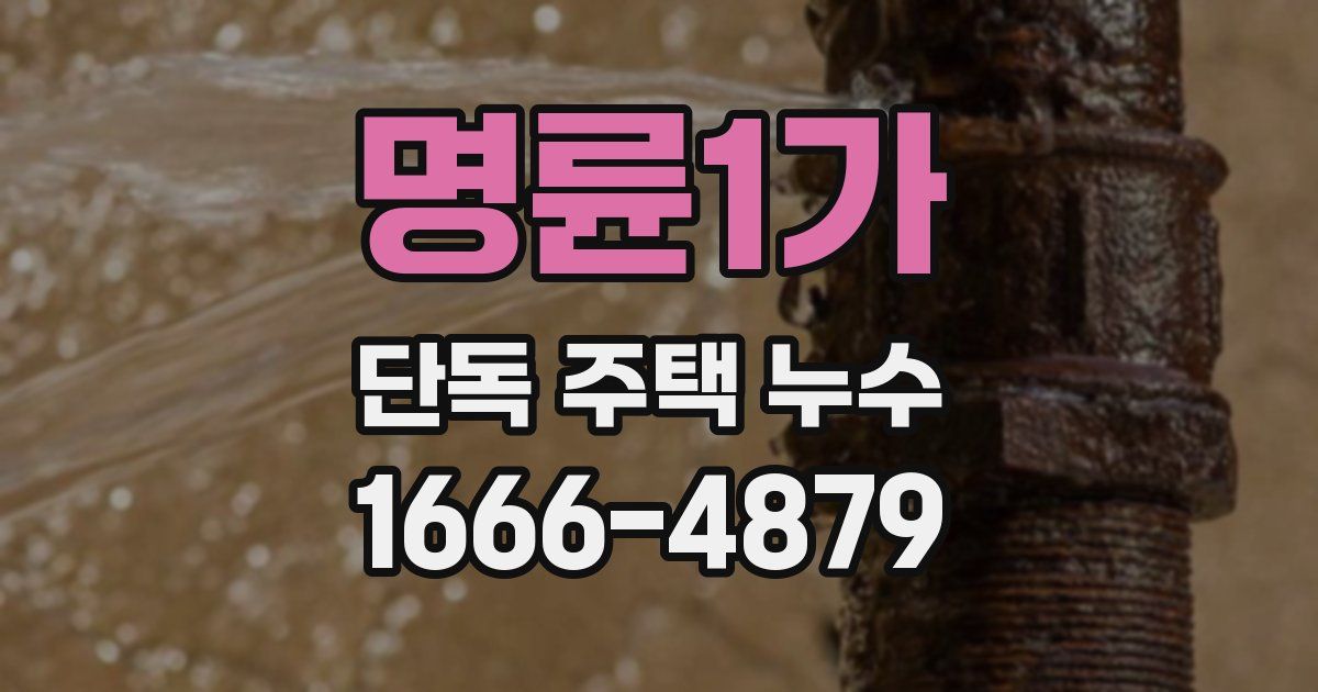 명륜1가 단독 주택 누수