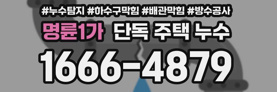 명륜1가 단독 주택 누수