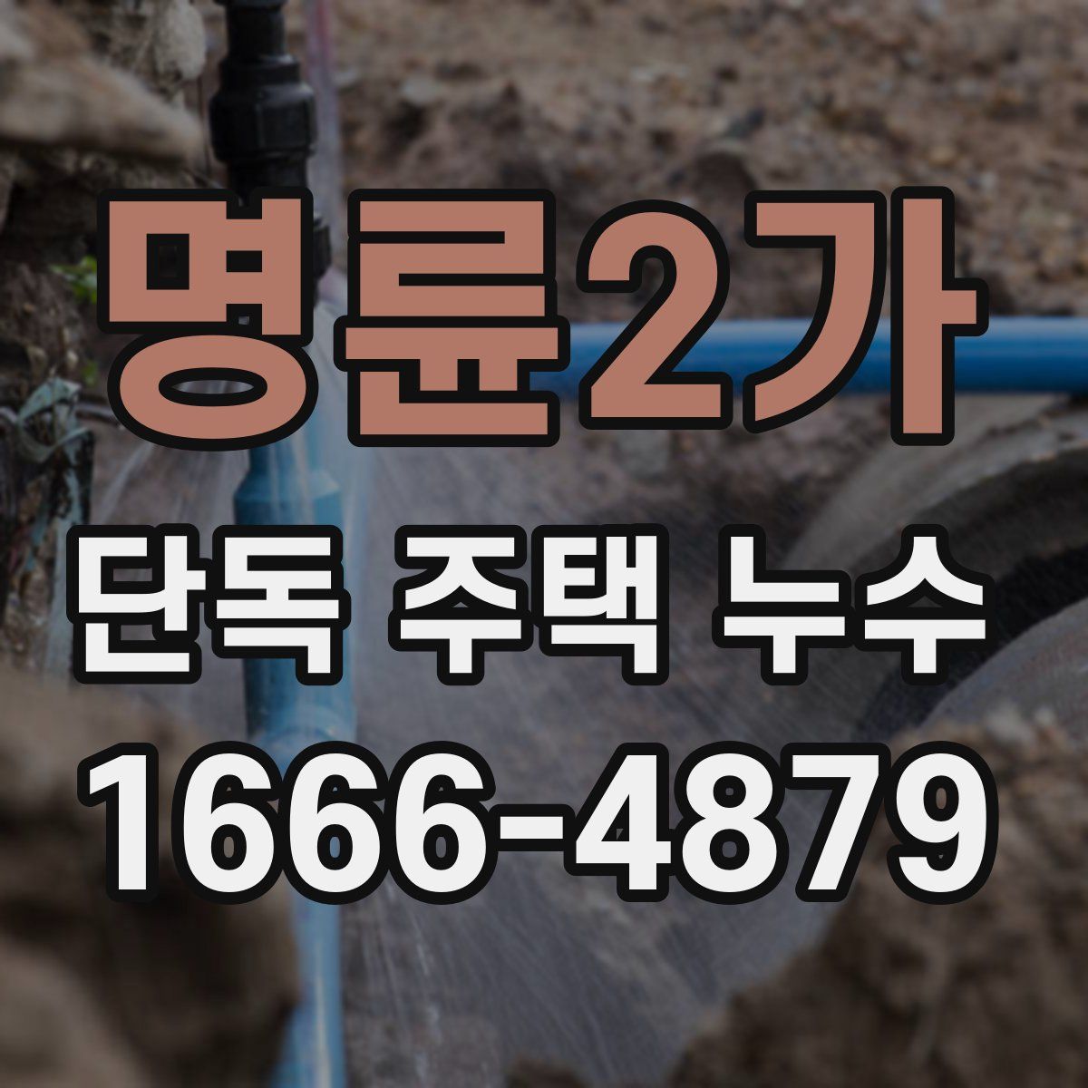 명륜2가 단독 주택 누수