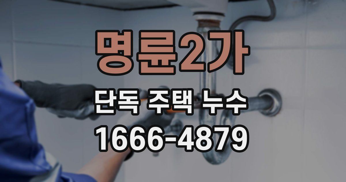 명륜2가 단독 주택 누수