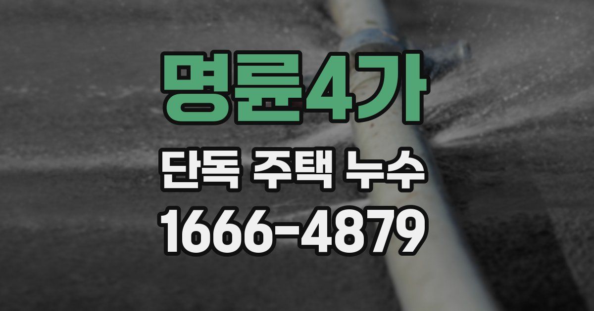 명륜4가 단독 주택 누수