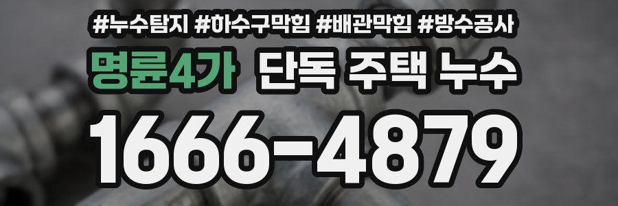 명륜4가 단독 주택 누수