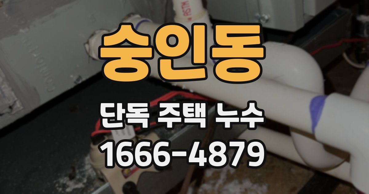 숭인동 단독 주택 누수