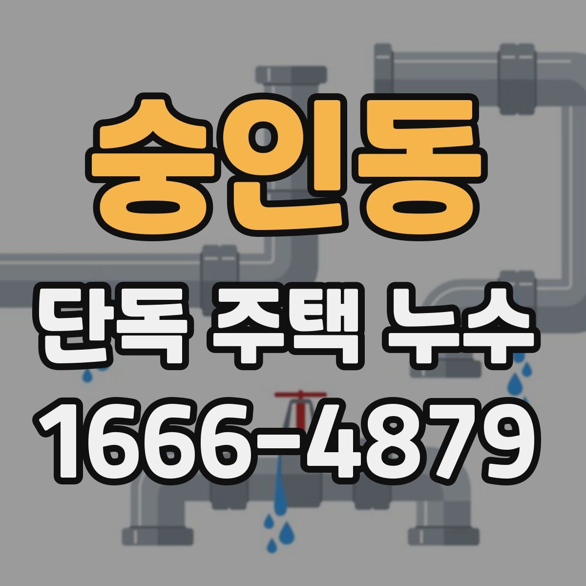 숭인동 단독 주택 누수