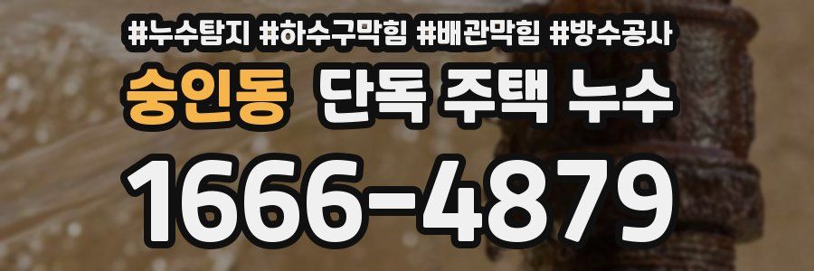 숭인동 단독 주택 누수