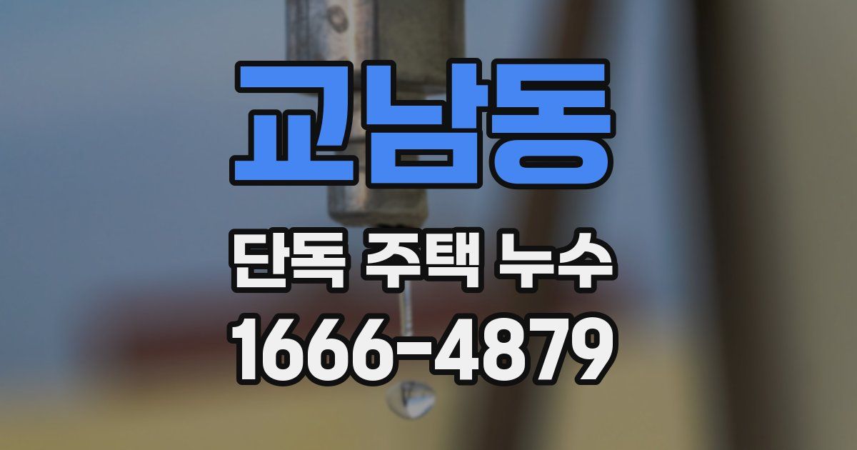 교남동 단독 주택 누수