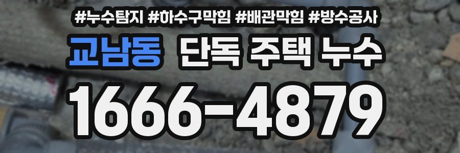 교남동 단독 주택 누수