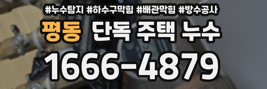 평동 단독 주택 누수