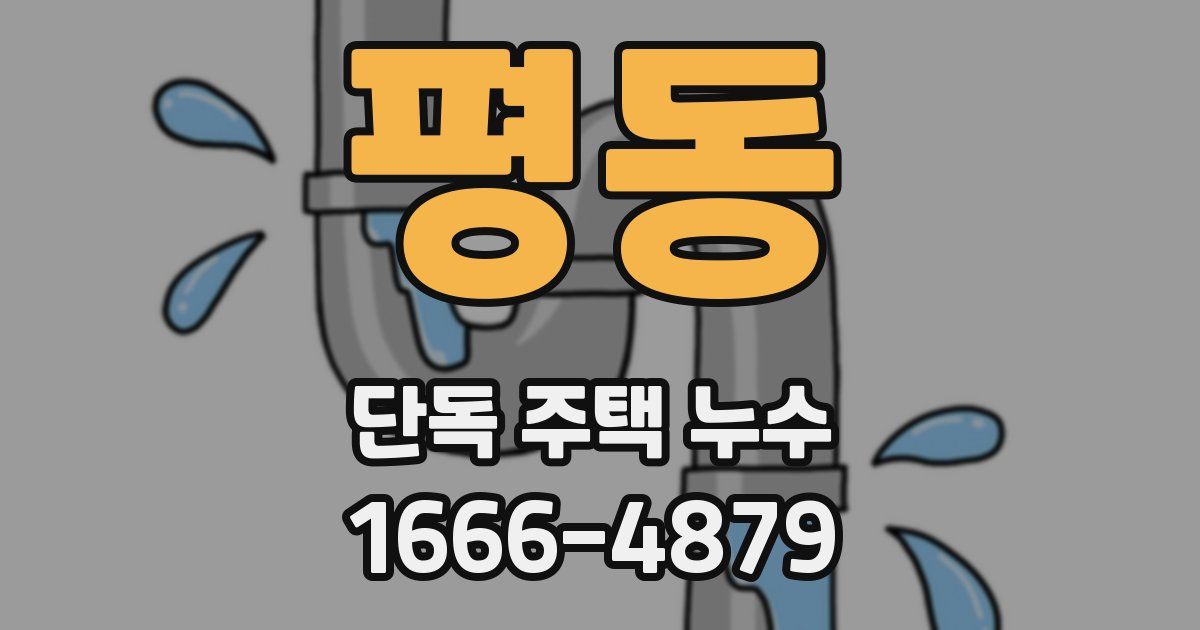 평동 단독 주택 누수