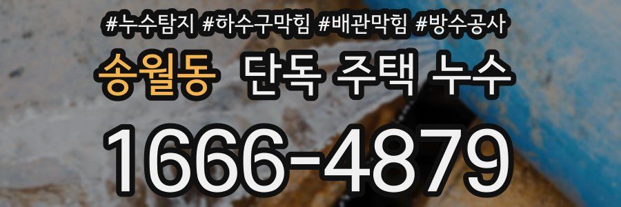 송월동 단독 주택 누수