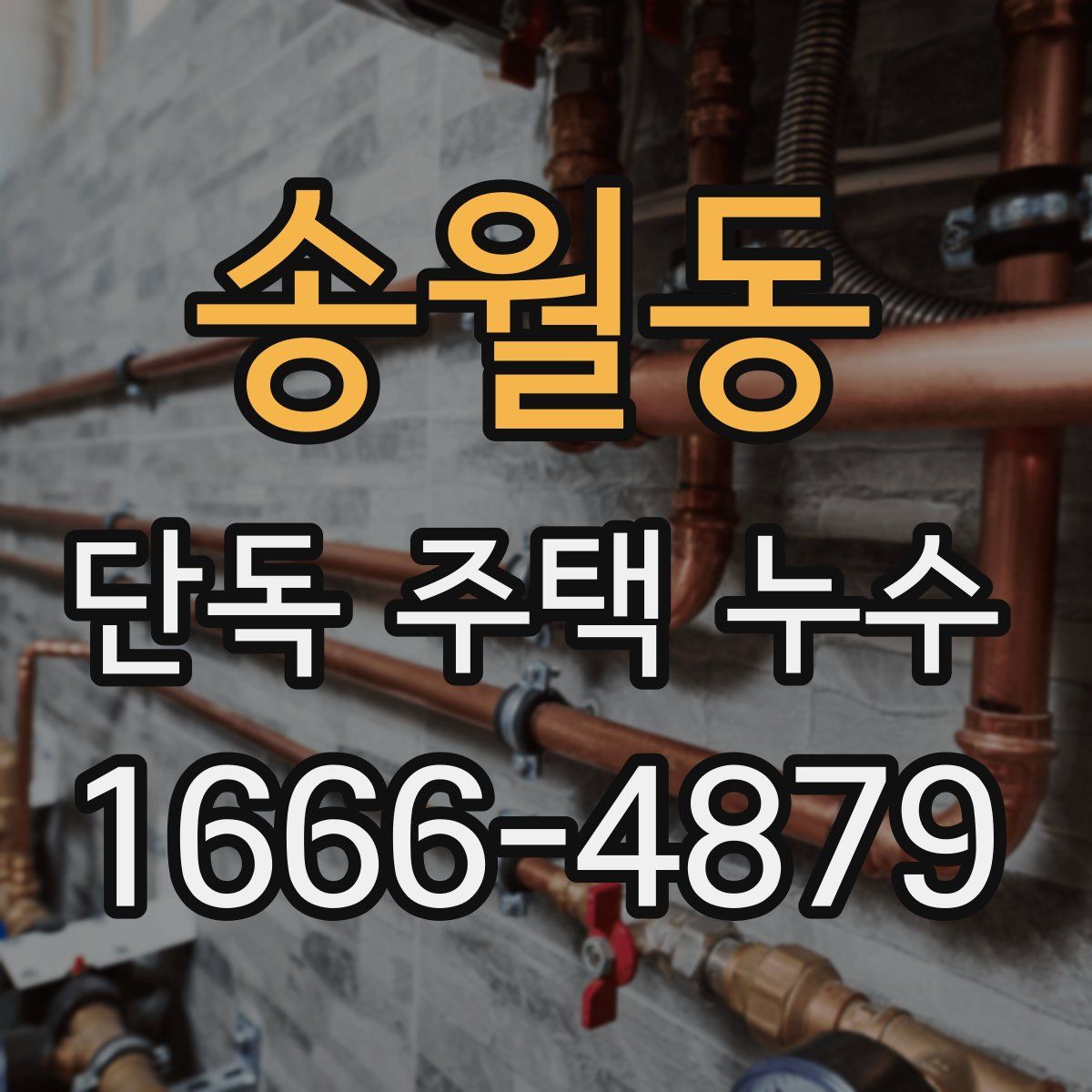 송월동 단독 주택 누수