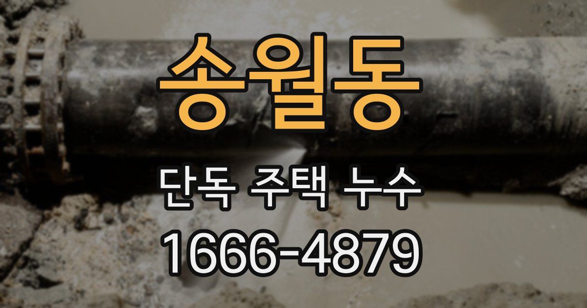 송월동 단독 주택 누수