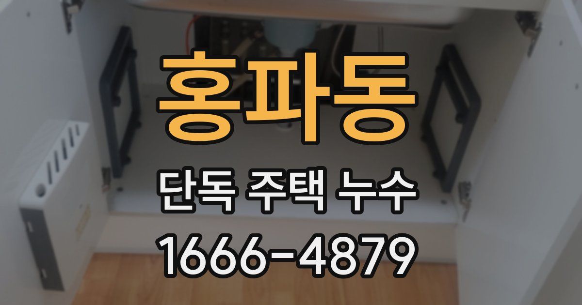 홍파동 단독 주택 누수