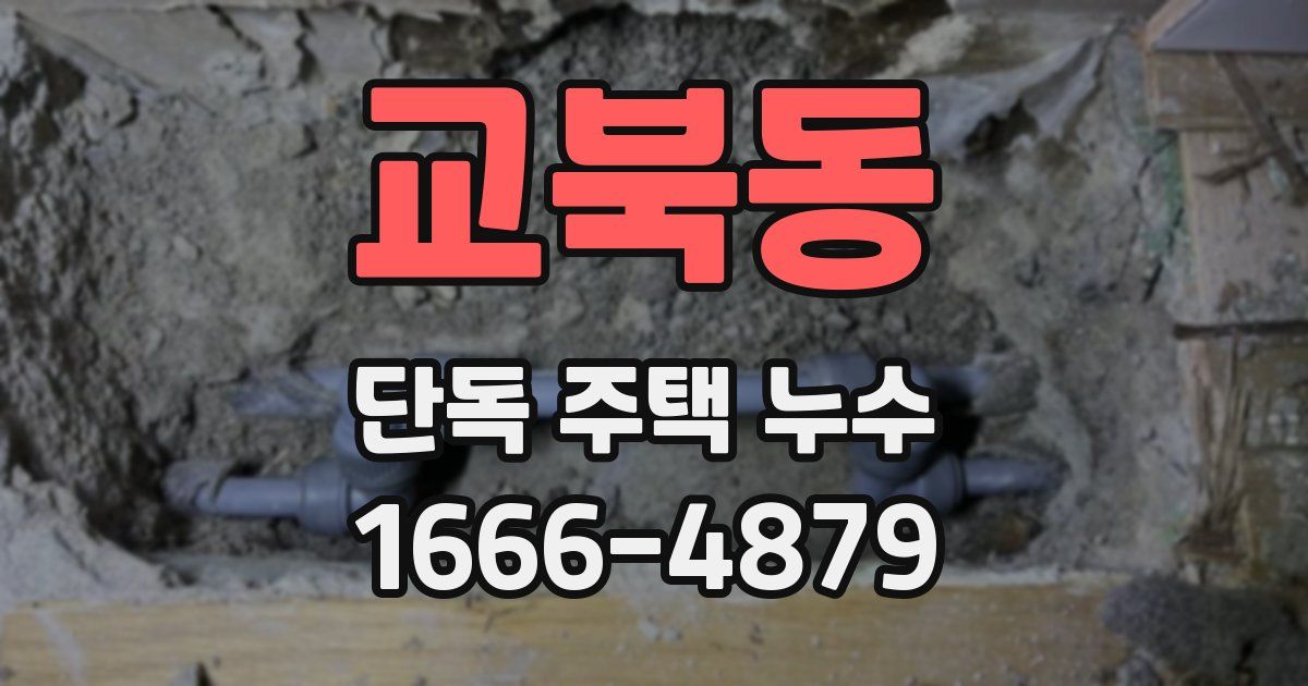 교북동 단독 주택 누수