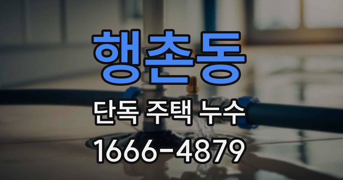 행촌동 단독 주택 누수