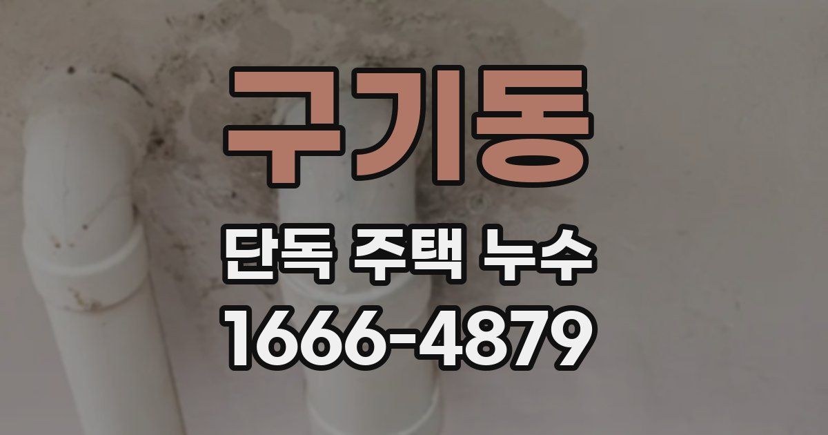 구기동 단독 주택 누수