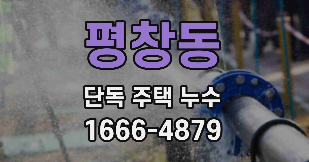 평창동 단독 주택 누수
