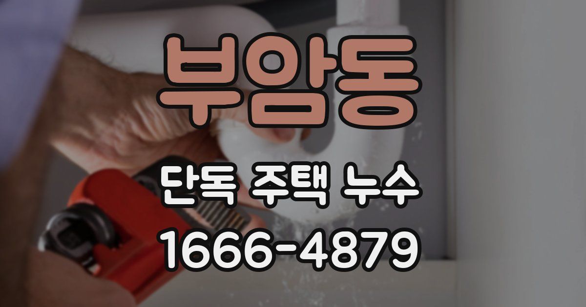 부암동 단독 주택 누수