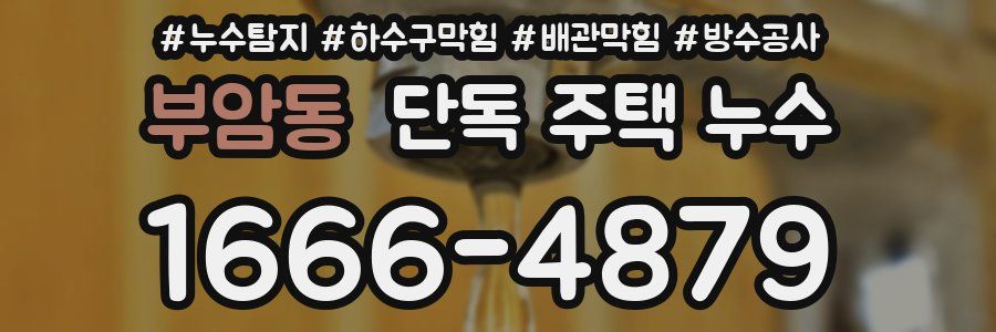 부암동 단독 주택 누수