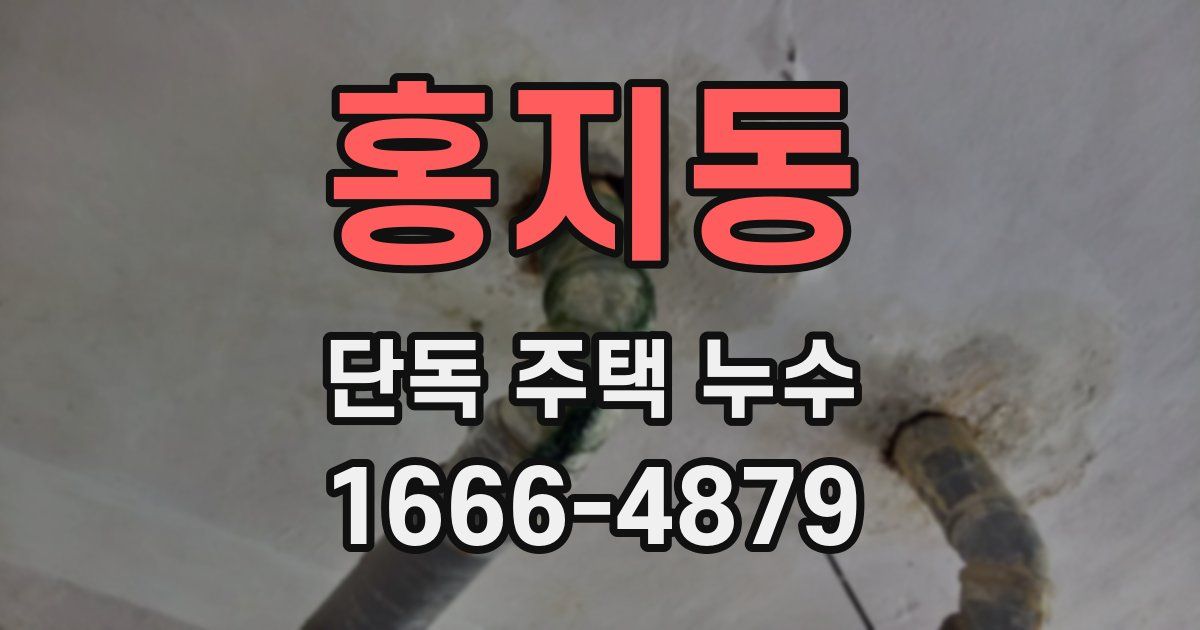 홍지동 단독 주택 누수