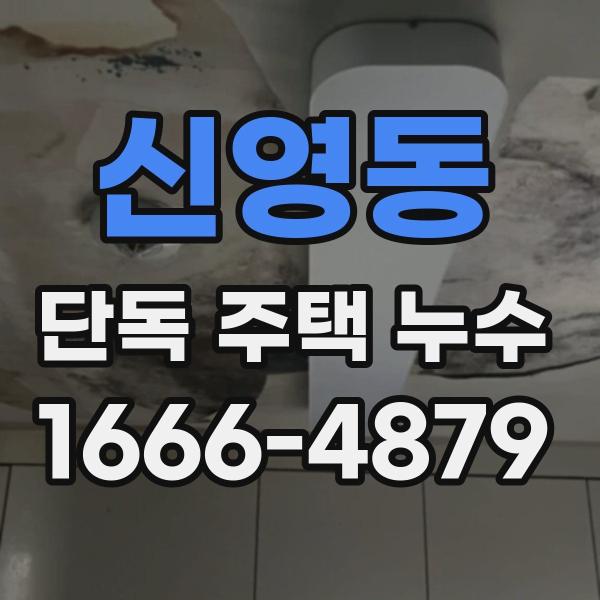 신영동 단독 주택 누수