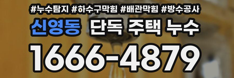 신영동 단독 주택 누수
