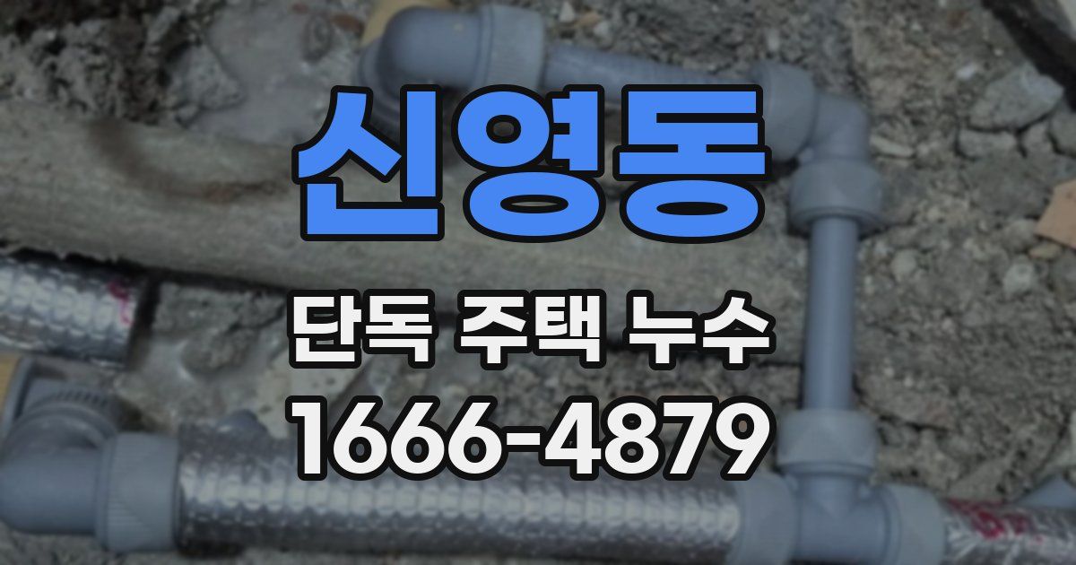 신영동 단독 주택 누수