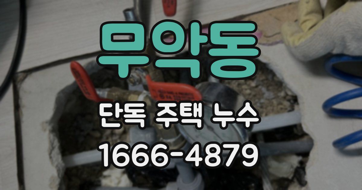무악동 단독 주택 누수